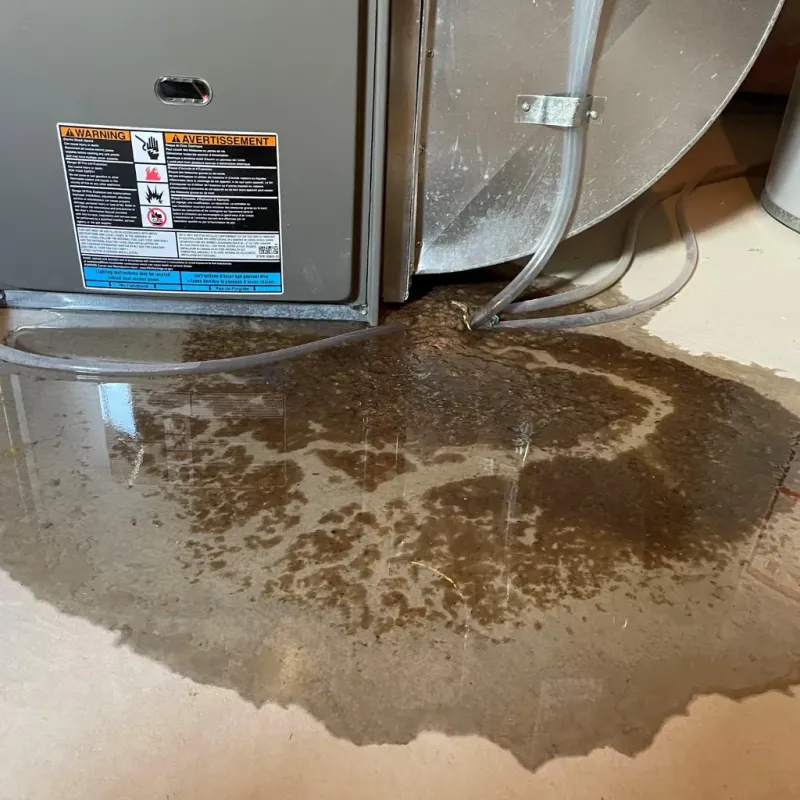 Appliance Leak Cleanup in Josephine, TX